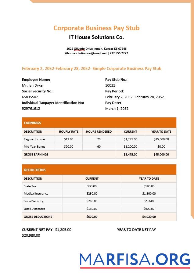Downloadable IT house solutions Co. pay stubs template